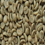 Arabica Green Coffee